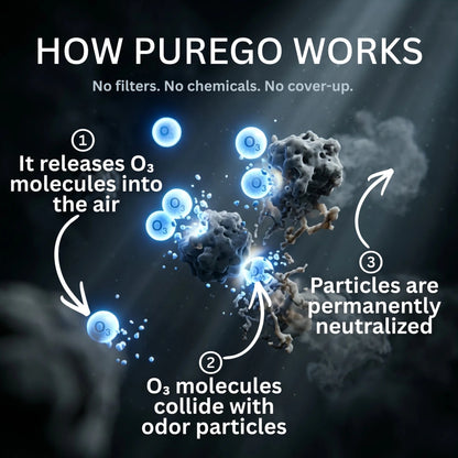 PureGo™ | Odor Gone for Good