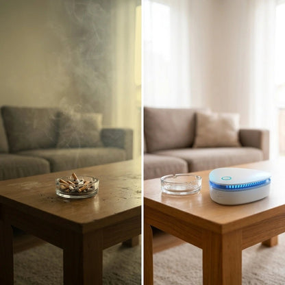 PureGo™ | Odor Gone for Good